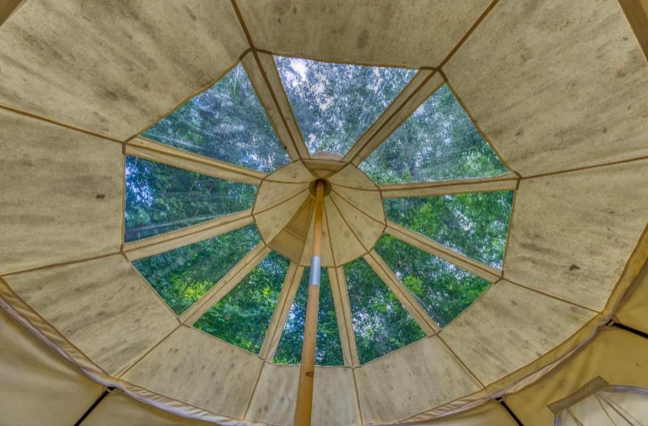 The Aries-A Stargazing, Luxury Glamping Tent Rogersville Ngoại thất bức ảnh