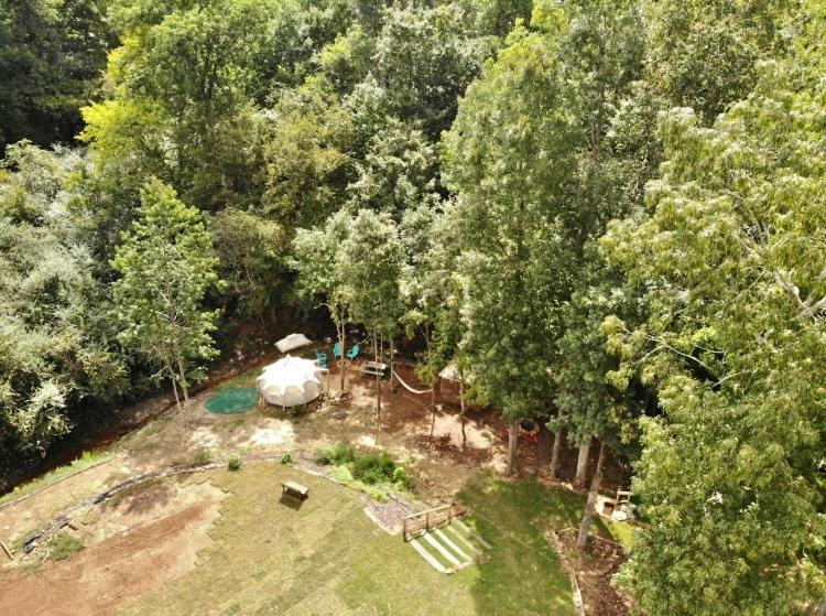 The Aries-A Stargazing, Luxury Glamping Tent Rogersville Ngoại thất bức ảnh