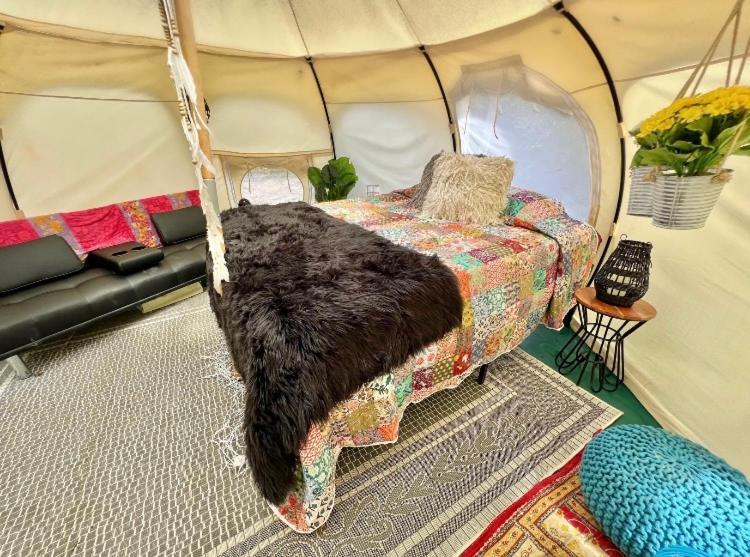The Aries-A Stargazing, Luxury Glamping Tent Rogersville Ngoại thất bức ảnh